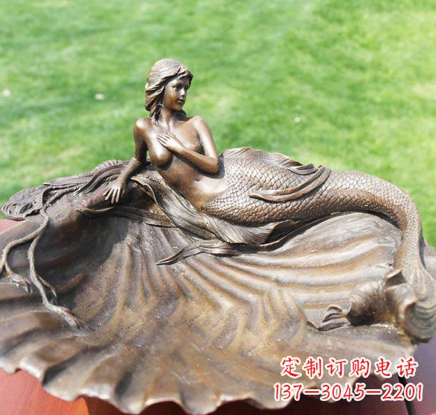 辽宁新颖贝壳美丽的艺术之旅