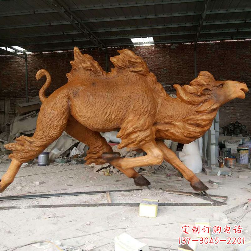 辽宁活力四射的骆驼