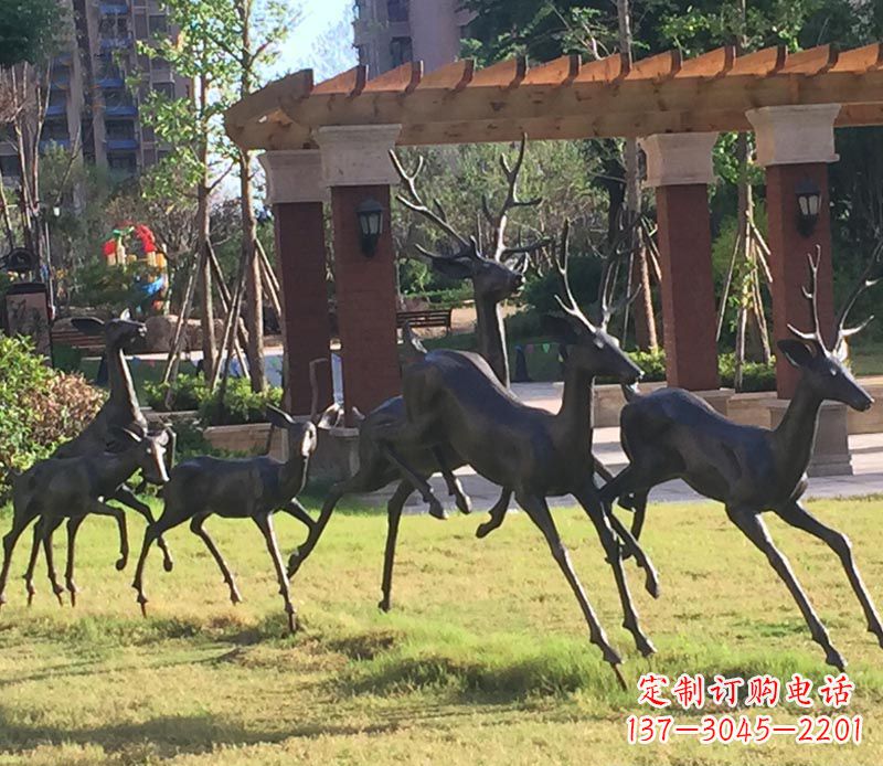 辽宁“梅花鹿传递自由与美好”
