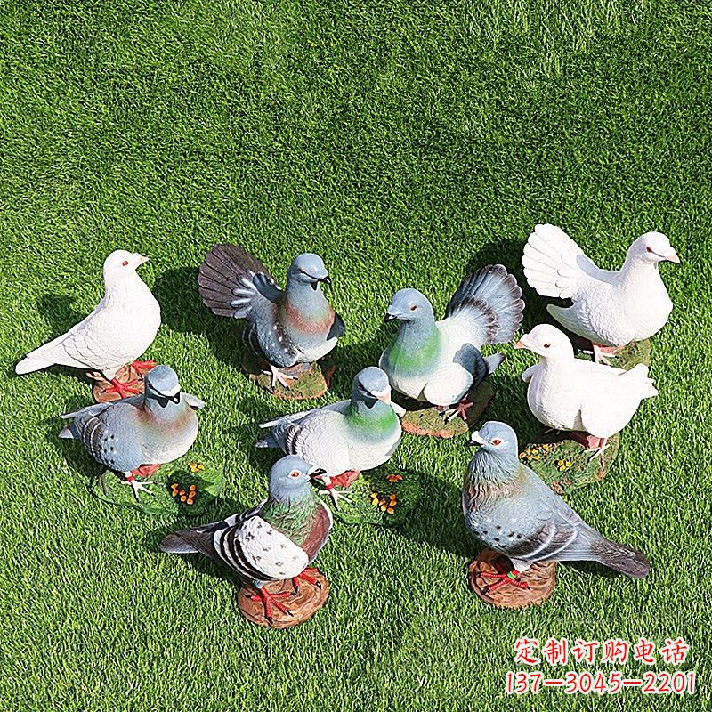 辽宁和平鸽毕加索激发的美好灵感