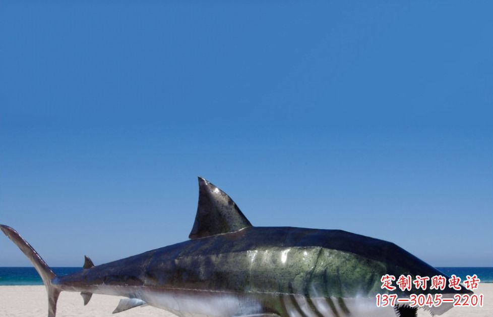 辽宁海洋生物之美——不锈钢鲨鱼雕塑