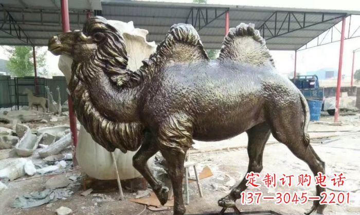 辽宁铜雕骆驼,精致优雅