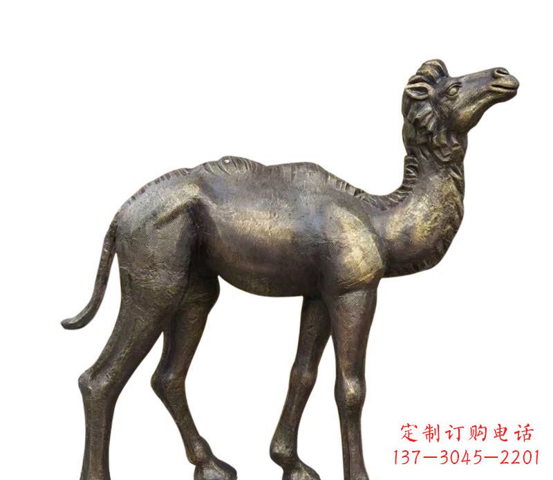 辽宁奇美洁净的骆驼铜雕