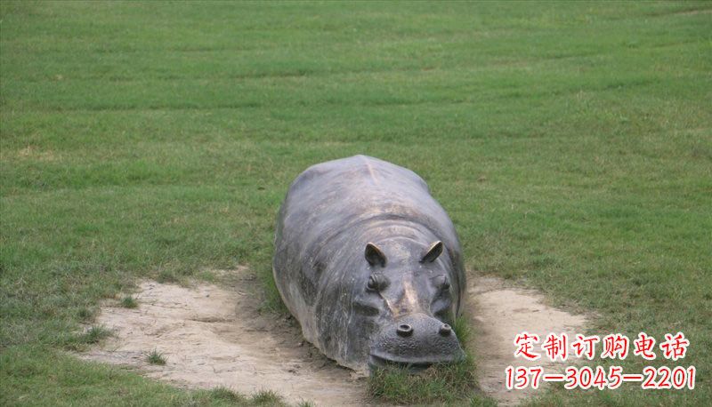 辽宁铜雕趴着的河马